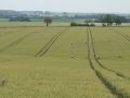 DSC08605