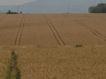 DSC08801