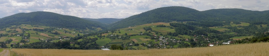Department of Geoinformatics, Cartography and Remote Sensing
