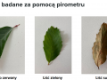 lisc2